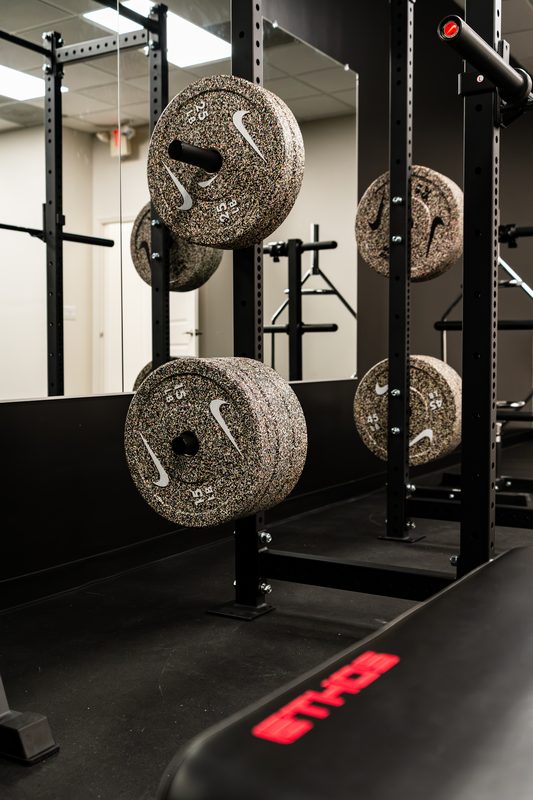Weight plates and squat rack at Impact Performance